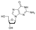 structure chimique de la désoxyguanosine