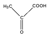 acide pyruvique