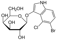 Structure du X-gal.