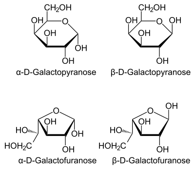 D-Galactose Haworth.svg