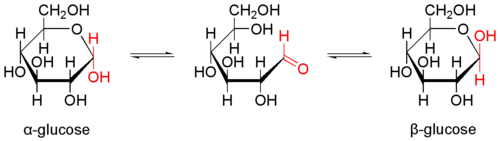 Mécanisme de mutarotation du Glucose.